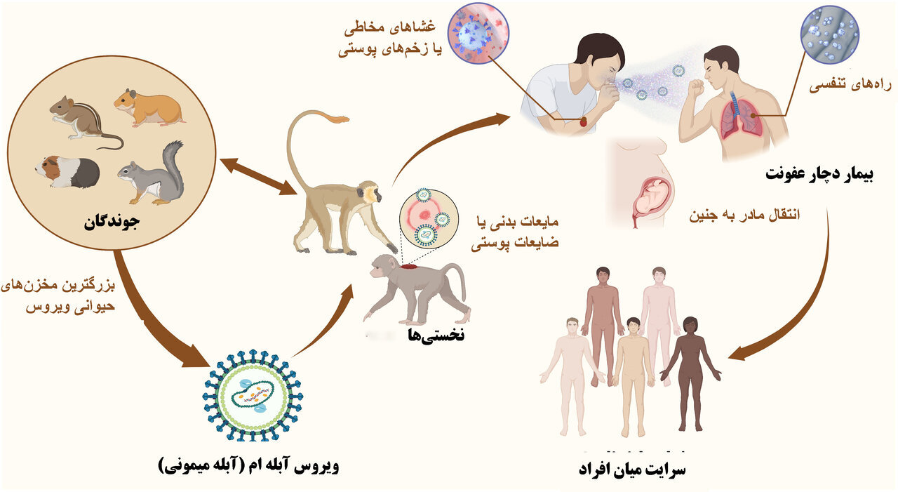 جلسه اضطراری برای آبله میمونی