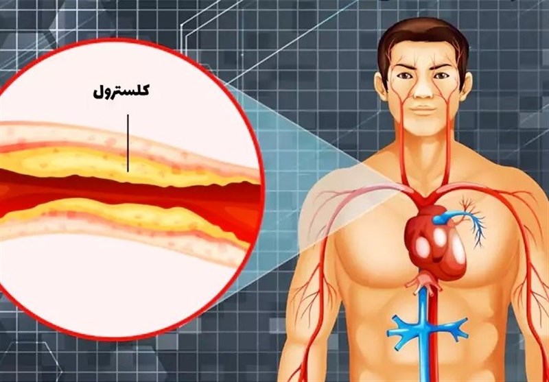 روغن مناسب غذای سالم با خانواده سالم