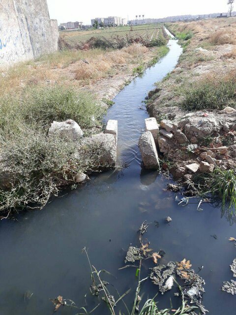 اینجا بیماری می‌کارند!