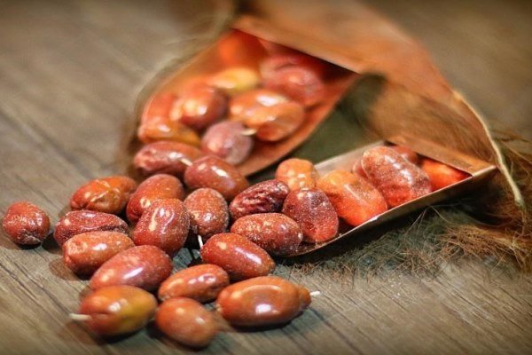 خطر اعتیاد به ریتالین بین دانش آموزان شب امتحانی/سنجد بخورید!