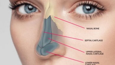 بینی طبیعی و نیمه‌فانتزی دکتر مفرد