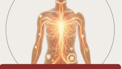 تقویت سیستم ایمنی؛ نقش تغذیه و مکمل‌ ها در حفظ سلامت بدن