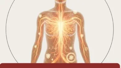 تقویت سیستم ایمنی؛ نقش تغذیه و مکمل‌ ها در حفظ سلامت بدن