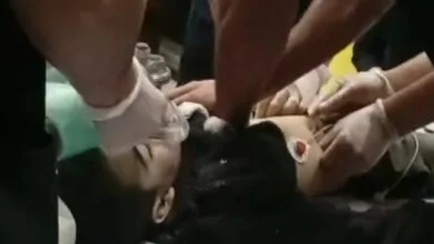 5945863.jpg