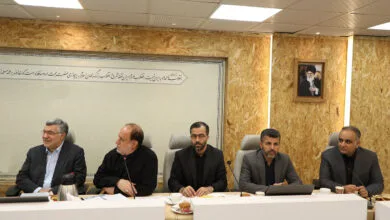 جزئیات نشست جمعی از نمایندگان با وزیر بهداشت؛ تأکید بر کنترل قیمت دارو