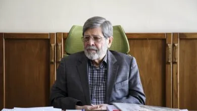 مرندی: باید از ظرفیت‌های علمی طب ایرانی استفاده کنیم