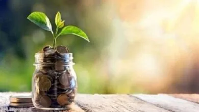خطر قرصهای ضد کک و کنه برای محیط زیست