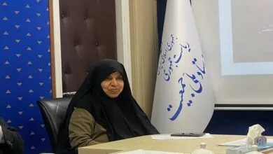 وحیددستجردی: جوانی جمعیت تنها با مشوق‌های اقتصادی محقق نمی‌شود
