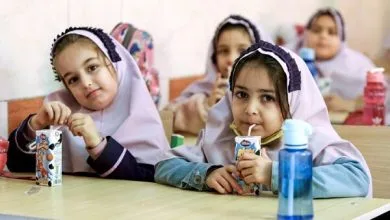 شیوهنامه توزیع شیر مدارس نیاز به اصلاح دارد
