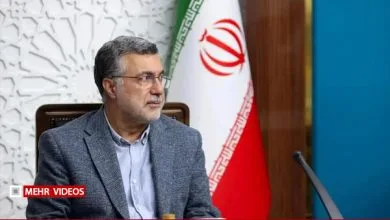 وزیر بهداشت: بحران جمعیت یک معضل ملی و فراملی است