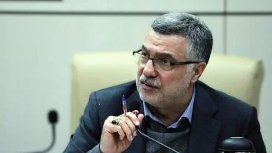 وزیر بهداشت: ریشه‌ بسیاری از چالش‌های جمعیتی در ازدواج نهفته است