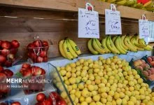 میوه‌های مفید برای سلامت کلیه را بشناسیم