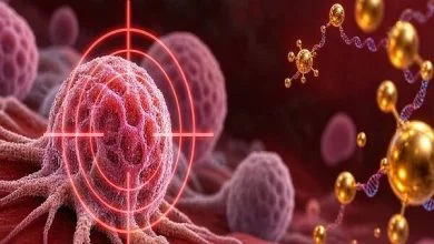 تاثیر مکملهای آرژنین بر شناسایی سلولهای سرطانی تاثیر مکملهای آرژنین بر شناسایی سلولهای سرطانی